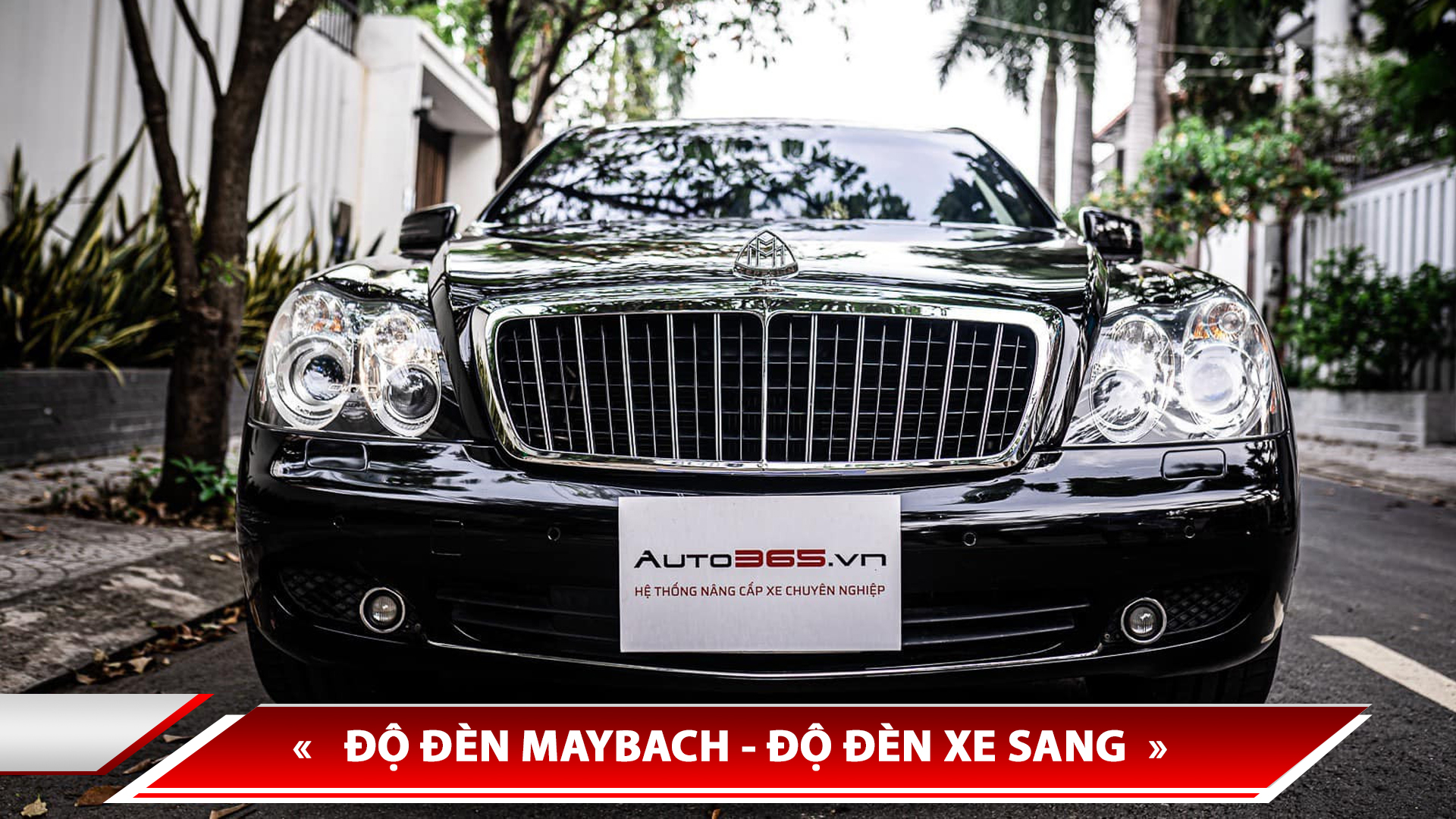 ĐỘ ĐÈN MAYBACH
